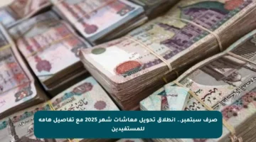 صرف سبتمبر.. انطلاق تحويل معاشات شهر 2025 مع تفاصيل هامة للمستفيدين